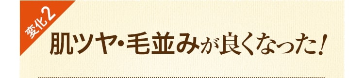 変化2 肌ツヤ・毛並みが良くなった！