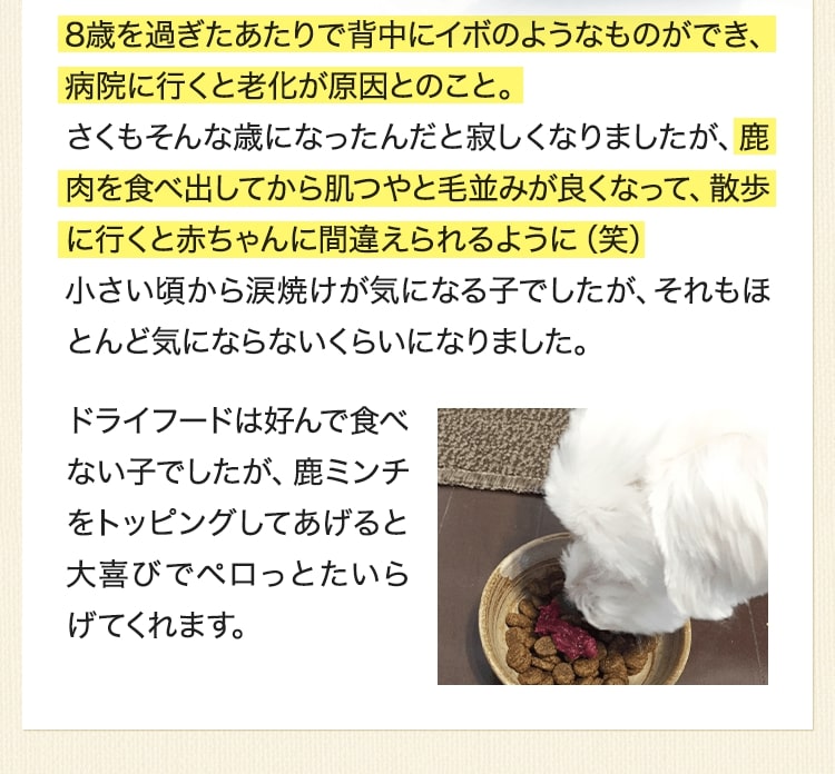 8歳を過ぎたあたりで背中にイボのようなものができ、病院に行くと老化が原因とのこと。さくもそんな歳になったんだと寂しくなりましたが、鹿肉を食べ出してから肌つやと毛並みが良くなって、散歩に行くと赤ちゃんに間違えられるように（笑）小さい頃から涙焼けが気になる子でしたが、それもほとんど気にならないくらいになりました。