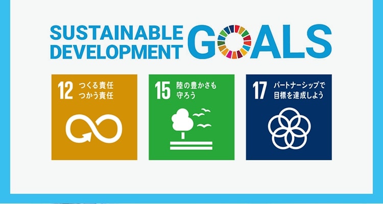 SUSTAINABLE DEVELOPMENT GOALS