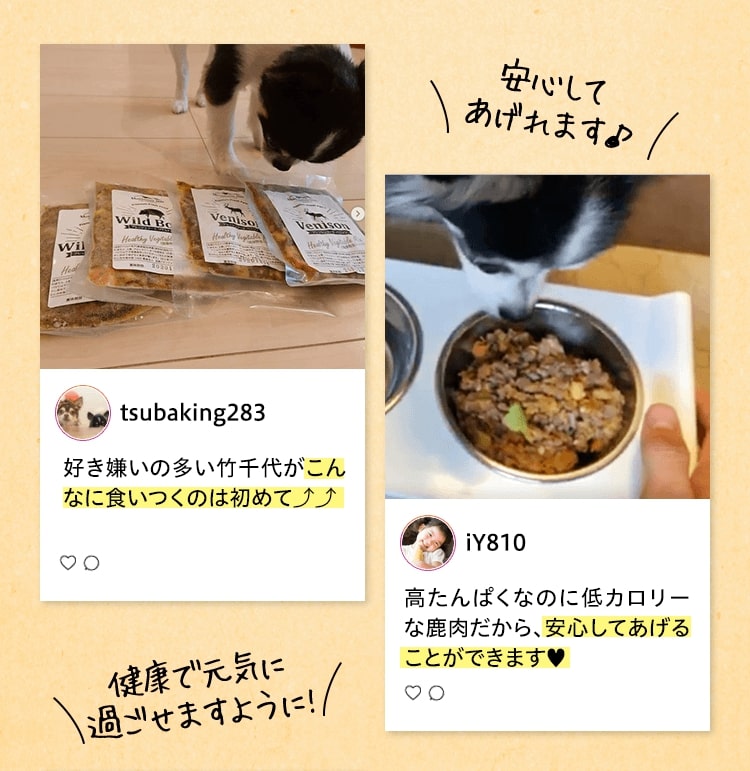 SNS投稿記事 安心してあげられます♪健康で元気に過ごせますように！