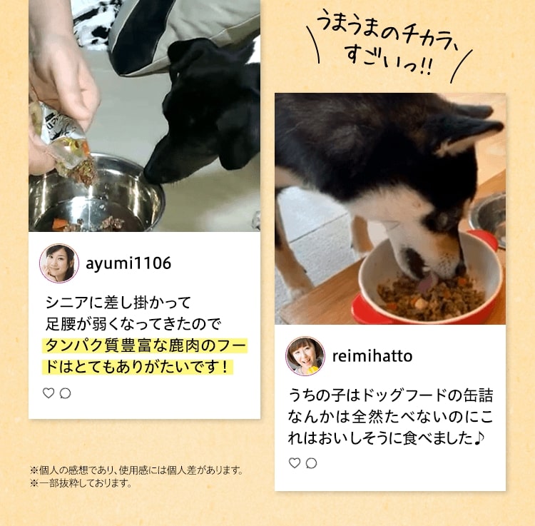 うまうまのチカラ、すごいっ！！