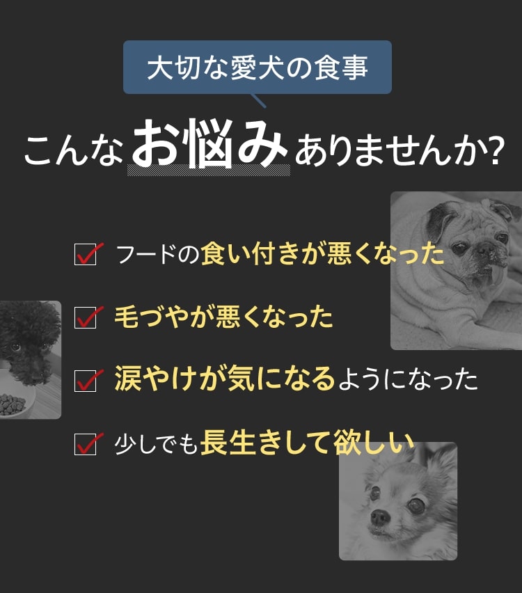 大切な愛犬の食事 こんなお悩みありませんか?