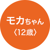モカちゃん（12歳）