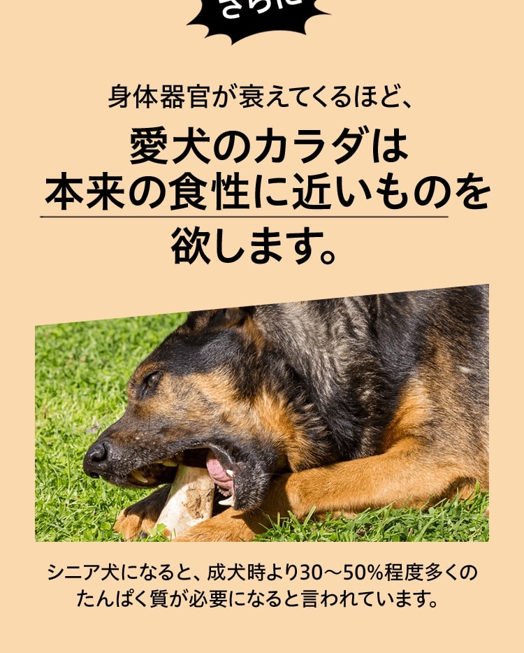身体器官が衰えて来るほど、愛犬のカラダは本来の食性に近いものを欲します。