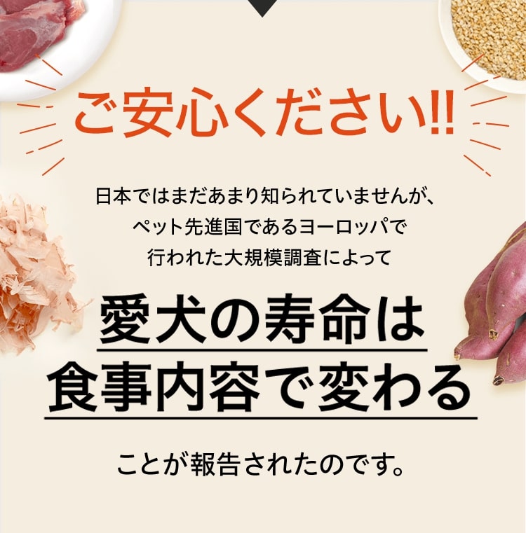ご安心ください！！日本ではまだあまり知られていませんがペット先進国であるヨーロッパで行われた大規模調査によって愛犬の寿命は食事内容で変わることが報告されたのです。