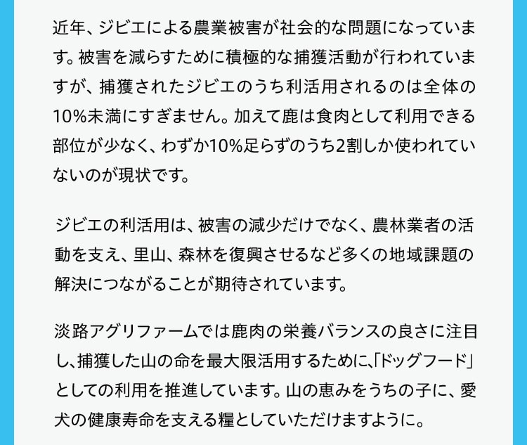 近年、ジビエによる農業被害が社会的な問題になっています。被害を減らすために積極的な捕獲活動が行われていますが、捕獲されたジビエのうち利活用されるのは全体の10%未満にすぎません。加えて鹿は食肉として利用できる部位が少なく、わずか10%足らずのうち2割しか使われていないのが現状です。ジビエの利活用は、被害の減少だけでなく、農林業者の活動を支え、里山、森林を復興させるなど多くの地域課題の解決につながることが期待されています。淡路アグリファームでは鹿肉の栄養バランスの良さに注目し、捕獲した山の命を最大限活用するために、「ドッグフード」としての利用を推進しています。山の恵みをうちの子に、愛犬の健康寿命を支える糧としていただけますように。