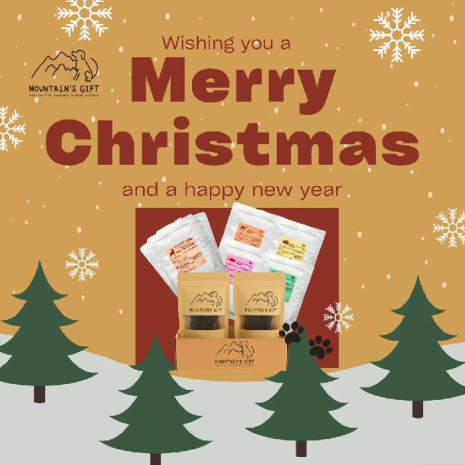 【マウンテンギフト】手作り無添加ドッグフード＆おやつセット 鹿・猪・鶏・鯛など国産素材使用 レトルトごはん各種＋手作りおやつ クリスマス ギフト トライアルに最適