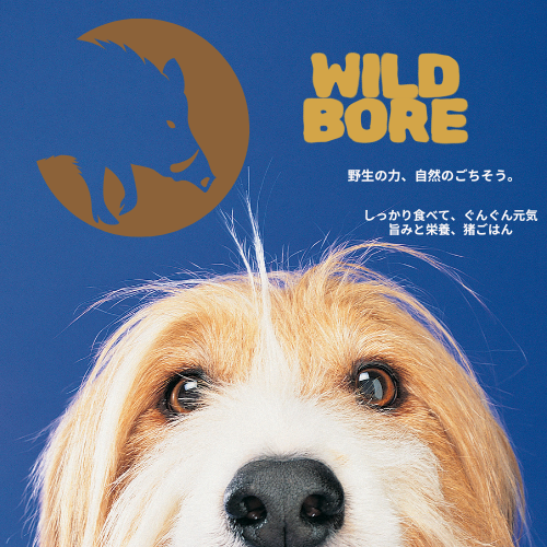 【猪と野菜　おいしさプラス】 ワイルドボア 猪肉の手作りフレッシュフード（小分け袋）1kg定期便