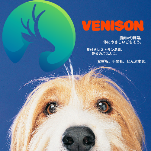 【鹿と野菜　おいしさプラス】ベニソン 鹿肉の手作りフレッシュフード（小分けトレー）定期便1キロコース