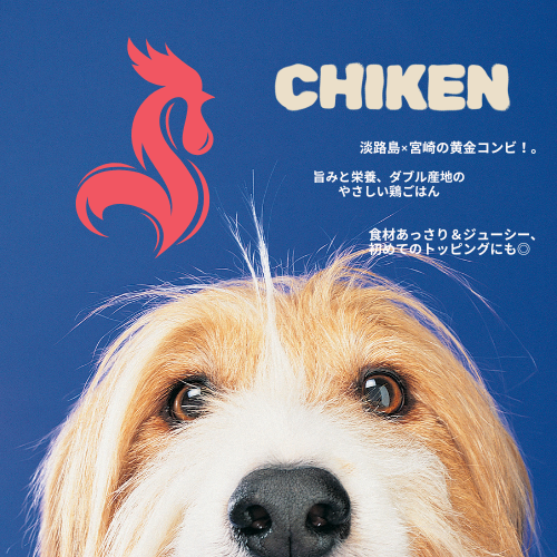 【鶏と野菜　おいしさプラス】 淡路島とり肉の手作りフレッシュフード（小分け袋）定期便1キロコース