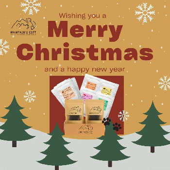 【マウンテンギフト】手作り無添加ドッグフード＆おやつセット 鹿・猪・鶏・鯛など国産素材使用 レトルトごはん各種＋手作りおやつ クリスマス ギフト トライアルに最適