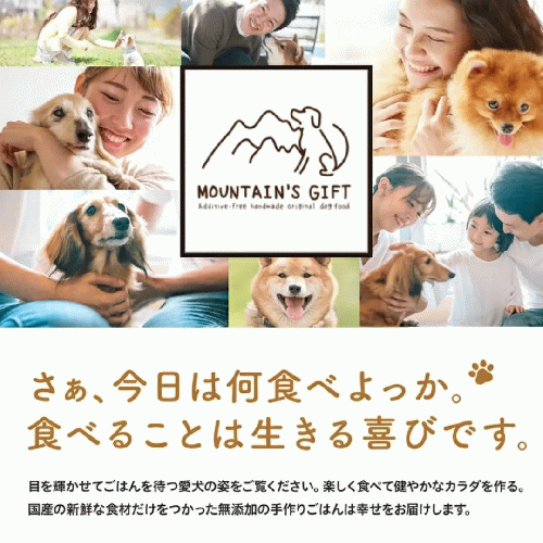 【マウンテンギフト】手作り無添加ドッグフード＆おやつセット 鹿・猪・鶏・鯛など国産素材使用 レトルトごはん各種＋手作りおやつ クリスマス ギフト トライアルに最適