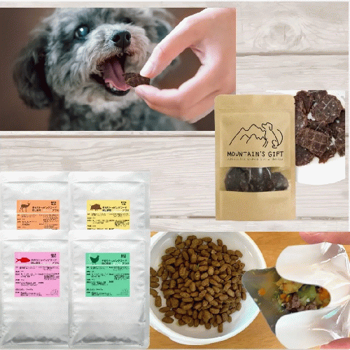 【マウンテンギフト】手作り無添加ドッグフード＆おやつセット 鹿・猪・鶏・鯛など国産素材使用 レトルトごはん各種＋手作りおやつ クリスマス ギフト トライアルに最適