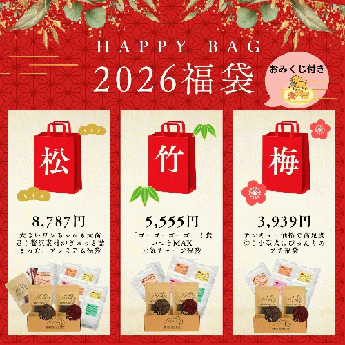 【マウンテンギフト】 犬用おやつ 福袋2025 竹【予約販売】