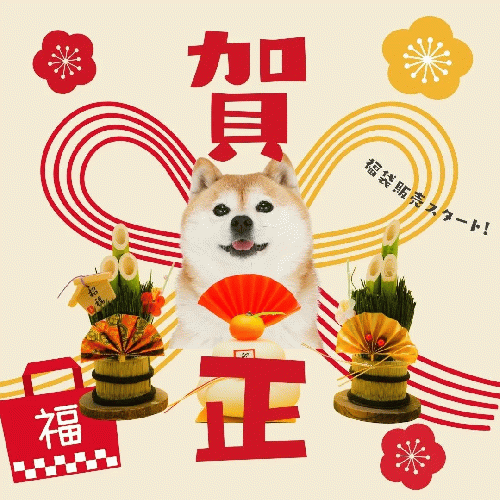 【マウンテンギフト】 犬用おやつ 福袋2025 竹【予約販売】